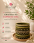 A stack of handmade olive green bangles with gold and silver patterns displayed on a wooden tray, set against a warm beige background with soft shadows and a blurred potted plant. The brand name 'BhaviCraft' is prominently displayed at the top with marketing text on the left.